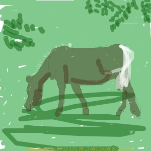 ein Pferd malen